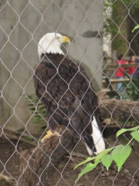 20100206 521.JPG